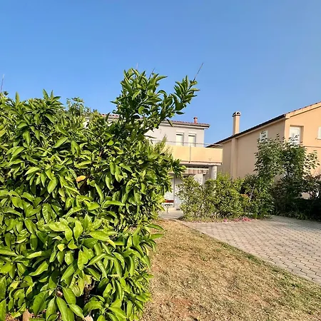 Apartment Mandarina Vrsi