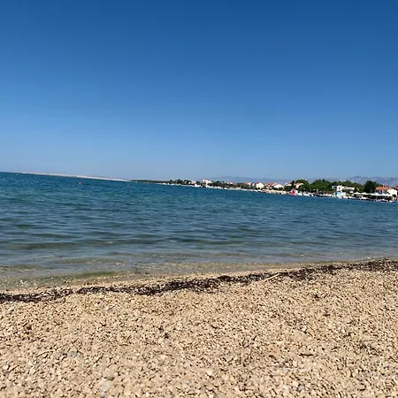 Daire Mandarina Vrsi