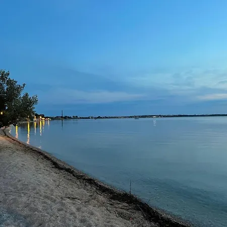 Mandarina Daire Vrsi