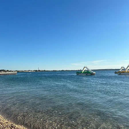 Mandarina Daire Vrsi